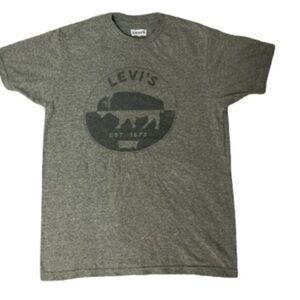 Levi's Green Gray Graphic Men's Shirt Sleeve Tee
